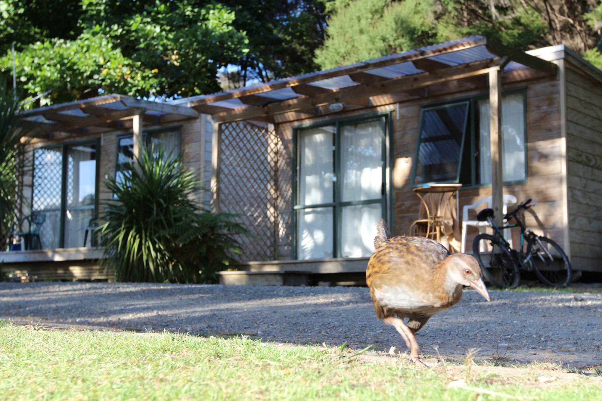 Russell-Orongo Bay Holiday Park Kültér fotó